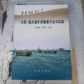 大型-超大型矿床勘查方法与实践  一版一印