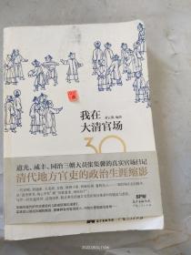 我在大清官场30年：My 30 years' Official Career in Qing Dynasty