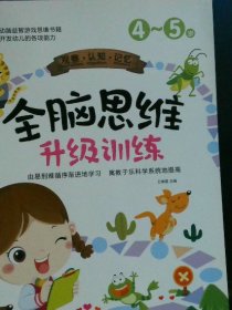 全3册全脑思维升级训练4-5岁观察认知记忆逻辑思维规律空间想象创造