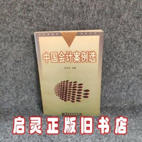 中国会计案例选