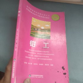 新型职业农民技能培训丛书：钳工