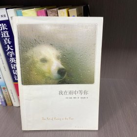 我在雨中等你