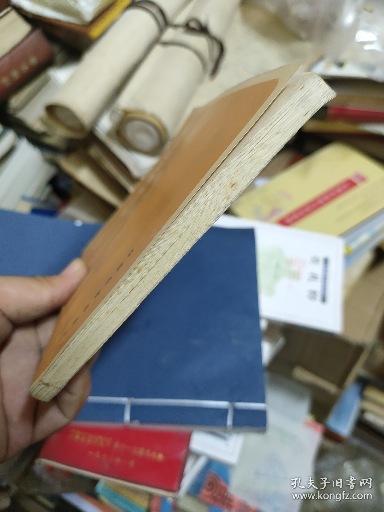 常用文体写作知识