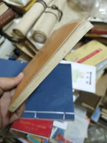 常用文体写作知识