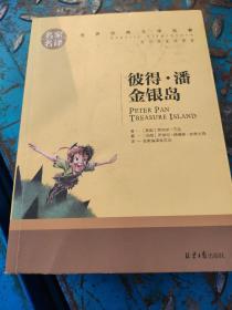 皮特潘 金银岛 中小学生课外阅读书籍世界经典文学名著青少年儿童文学读物故事书名家名译原汁原味读原著