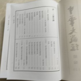 中华大藏经（汉文部分）·续编：汉传注疏部（九）（第126册·精装繁体竖排）