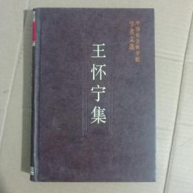 王怀宁集/中国社会科学院学者文选