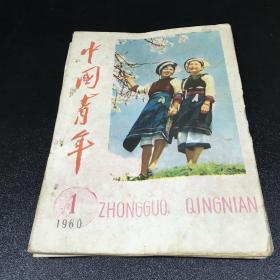 中国青年【1960年 第1-24期 缺少第14、16、19 、22、24期 半月刊 19本合售】【馆藏 书脊有伤 书脊有钉孔 书角轻微卷曲 第2期无封底40页止 第4期内页少许划线 第6期书口有伤 第8期书口有伤 第12期封底破损36页止  第17期无封面 第21期无封底32页止】