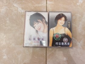 经典珍藏歌曲磁带，陈慧娴全新未拆封，邓丽君，何日君再来，两个一起出，什么都不保，看好图，不退换，包邮！