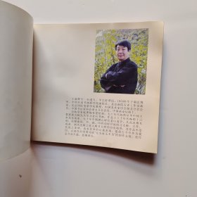 王满辉 中国画名家小品 扇面集 品如图