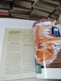 中国国家地理2006年12月