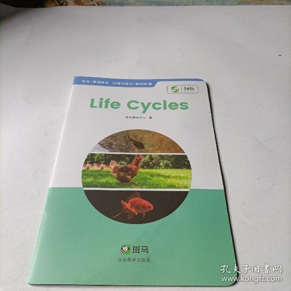 斑马AI课        life  cycles