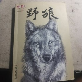 野狼