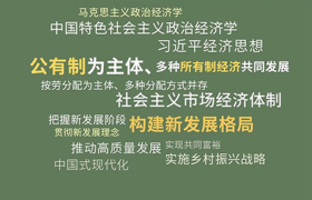 保正版！中国特色社会主义政治经济学通识课9787511744128中央编译出版社王立胜