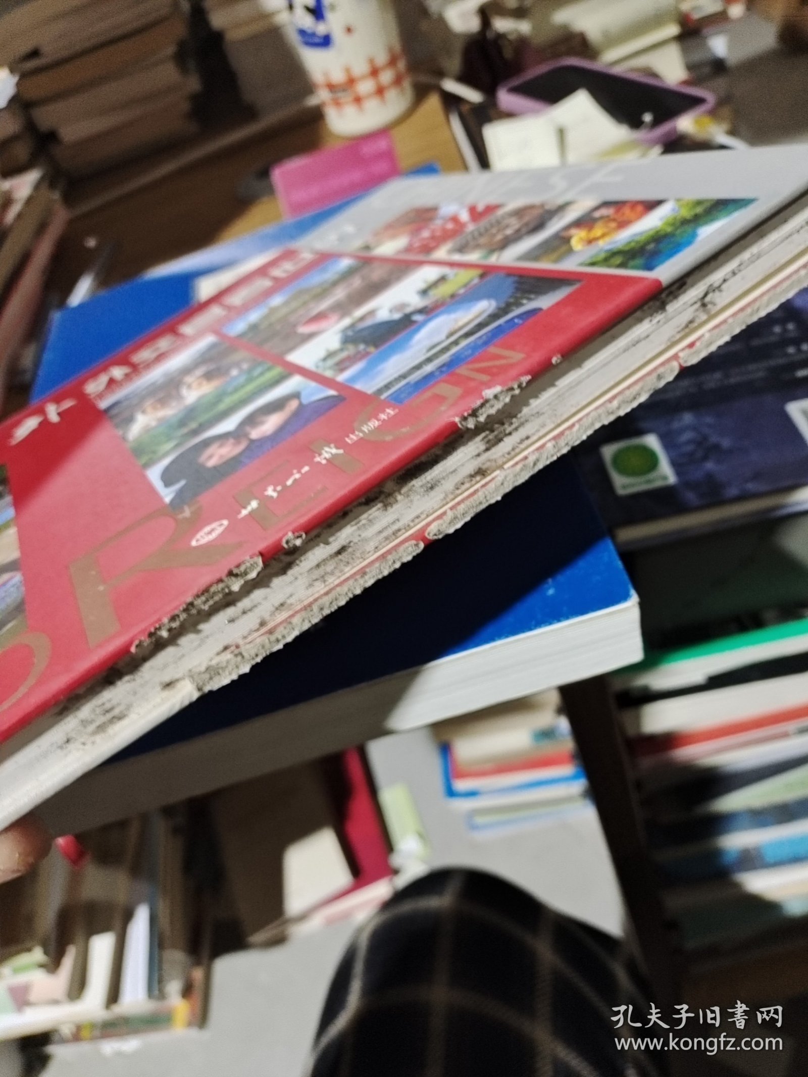 中外外交官看世界