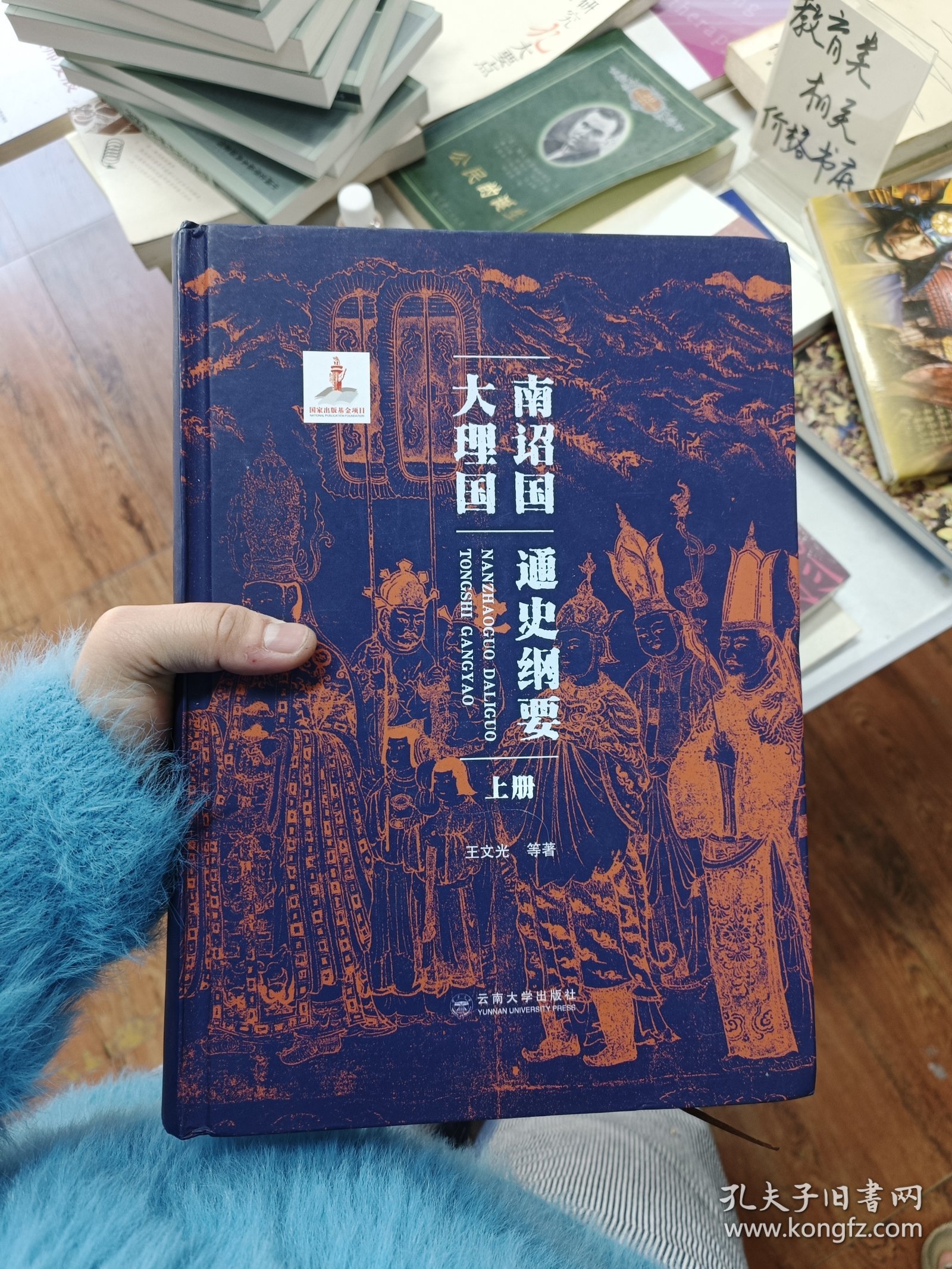 南诏国大理国通史纲要（上、下册）
