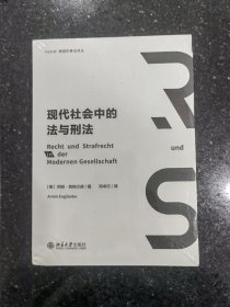 现代社会中的法与刑法 融汇法哲学与刑事法的典范之作 英格兰德教授代表作品