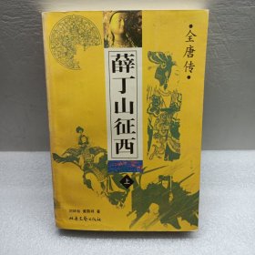 薛丁山征西 上