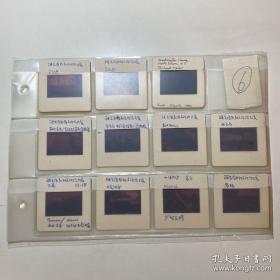 清华大学建筑学院教学用幻灯片一套七册48枚全 保真