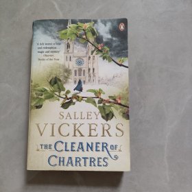 THE CLEANER OF CHARTRES SALLEY VICKERS