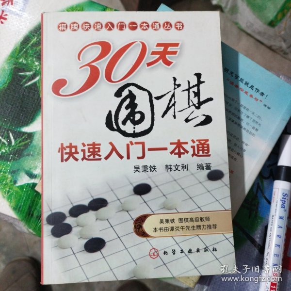 棋牌快速入门一本通丛书：30天围棋快速入门一本通