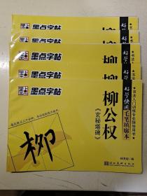 墨点字帖 柳公权《玄秘塔碑》毛笔填廓本 书法入门训练专业指导用书 8开 32页 5本相同的合售 未用过