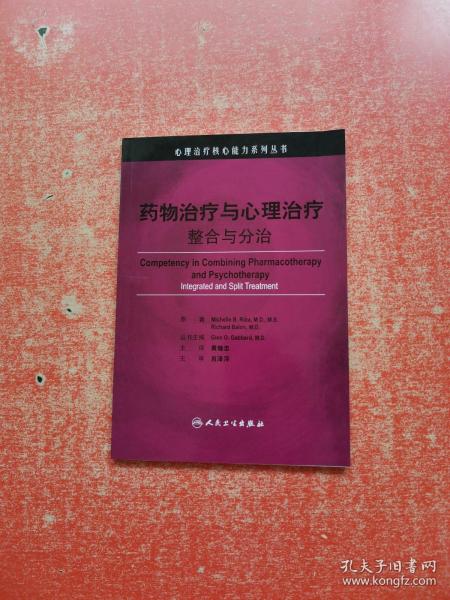 心理治疗核心能力系列丛书·药物治疗与心理治疗（翻译版）