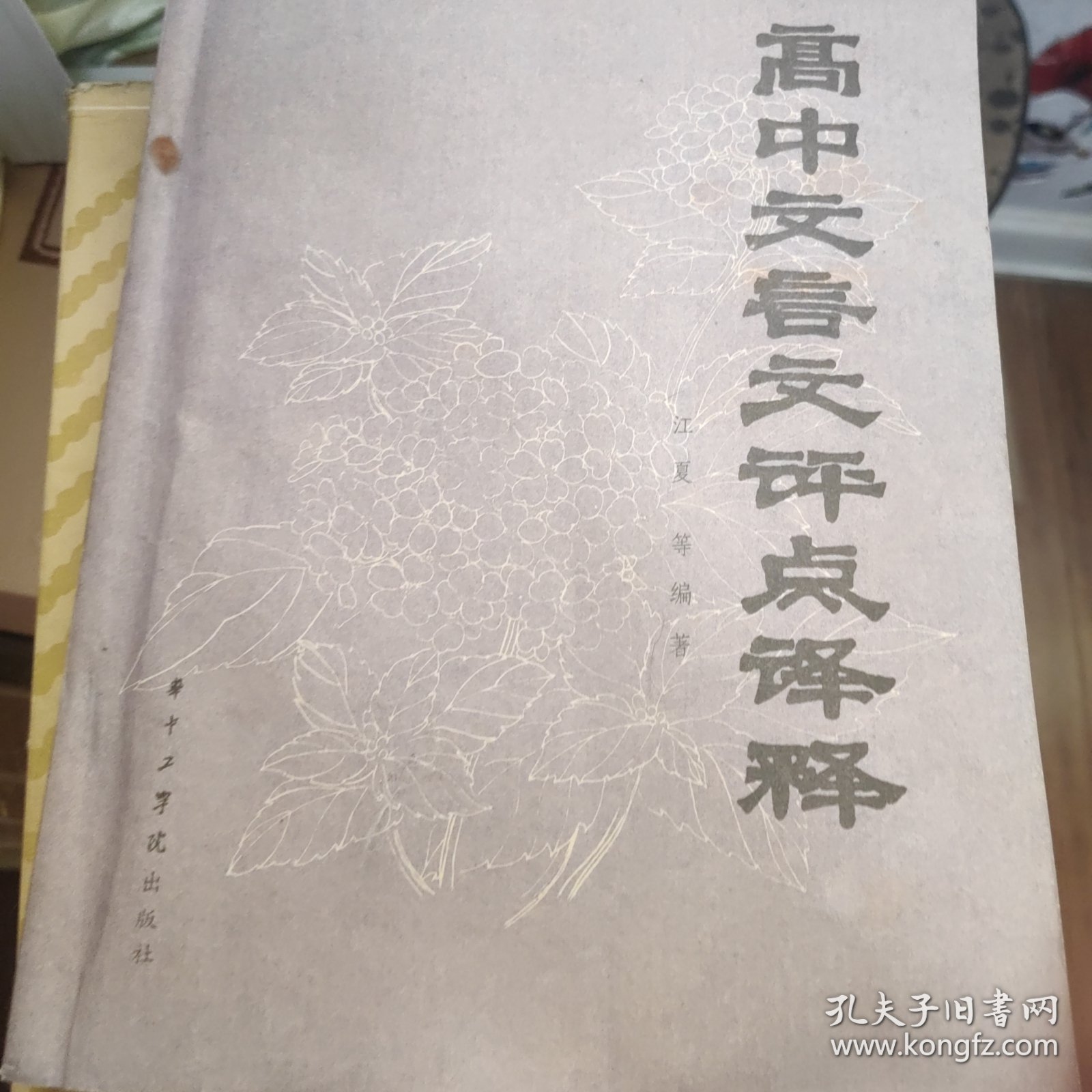 高中文言文评点译释