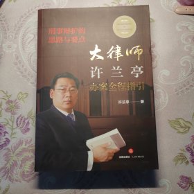 刑事辩护的思路与要点：大律师许兰亭办案全程指引