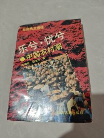 乐兮·忧兮~中国农村潮