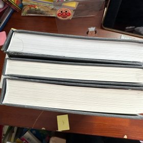 东山村 新石器时代遗址发掘报告（套装上中下册）