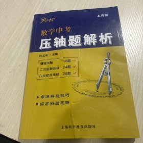 数学中考压轴题解析