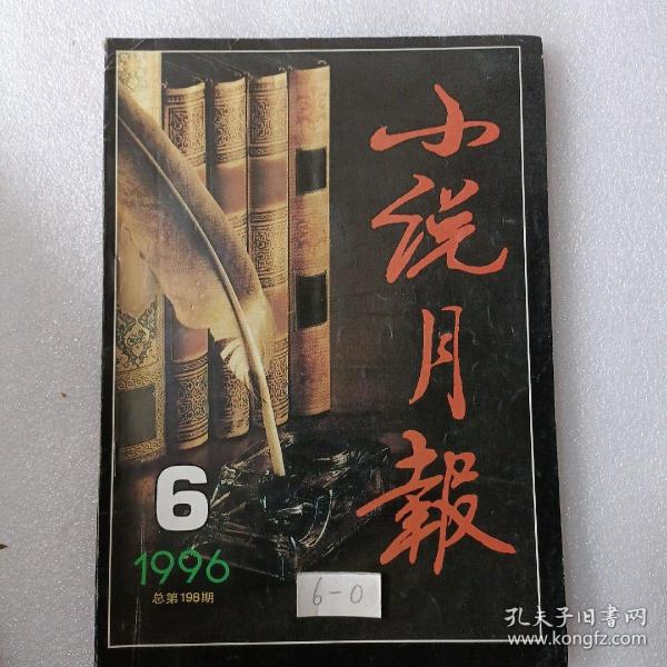 小说月报  1996  6