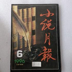 小说月报  1996  6