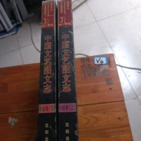 20世纪中国文艺图文志(共10册)