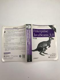 Enterprise JavaBeans 3.0中文版