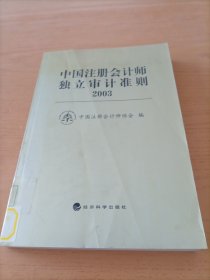 中国注册会计师独立审计准则·2003