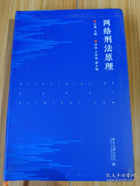 网络刑法原理（网络刑法体系教科书 陈兴良、梁根林、陈国庆、周加海专业推荐）