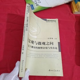 在宏观与微观之间：量子测量的解释语境与实在论