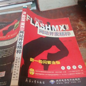闪魂：FLASHMX2004网站开发精粹（正版一版一印）