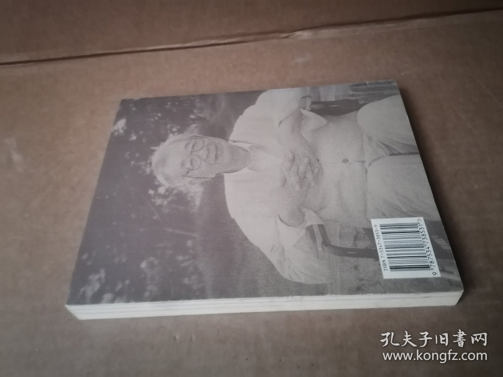 于光远自述