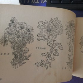 《农林牧副渔美术参考资料》 插图本(1979年3月)1 版1印 上海人民美术出 (私藏)