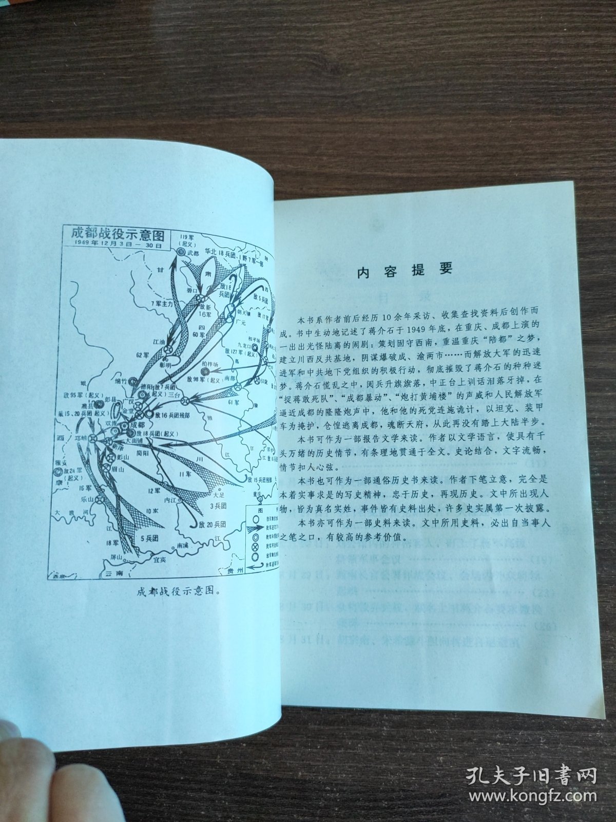 魂断天府:蒋介石在大陆最后时刻