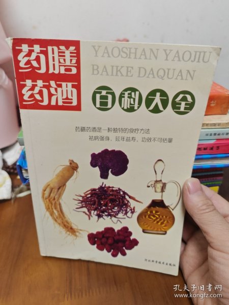 药膳药酒百科大全