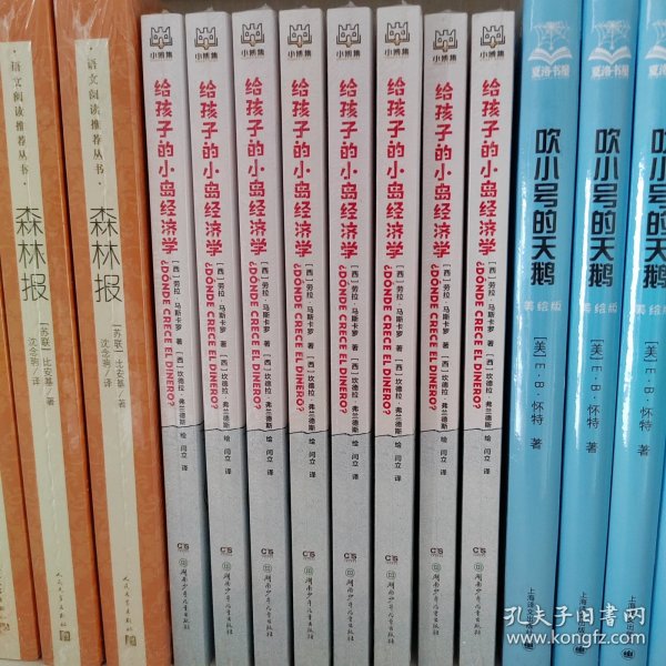 给孩子的小岛经济学