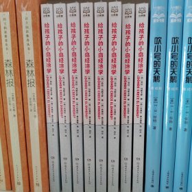 给孩子的小岛经济学