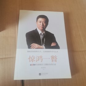 惊鸿一瞥：CCTV首席财经主播陈伟鸿自述