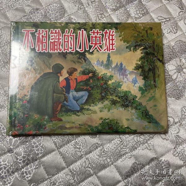 不相识的小英雄