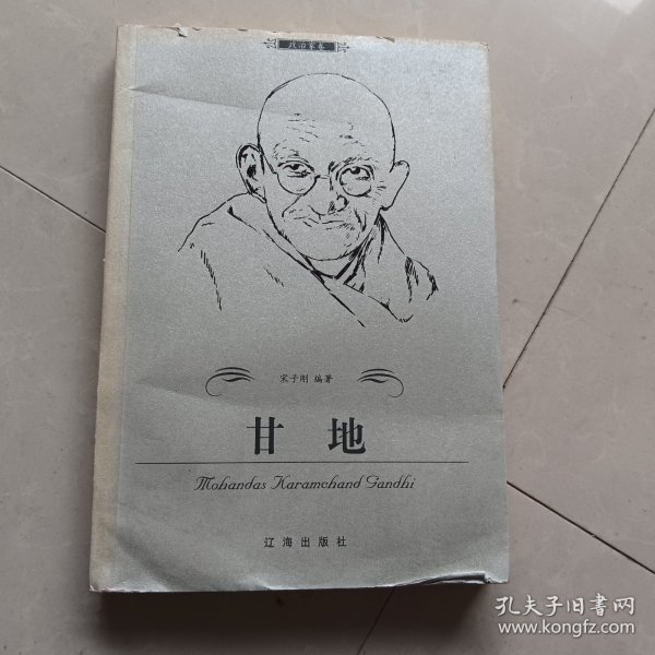 甘地——布老虎传记文库·巨人百传丛书：政治家卷