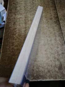 实践法理学的现象解释体系 未开封